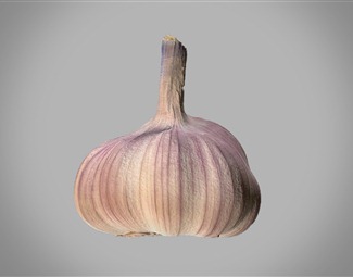 現(xiàn)代廚衛(wèi)用品3D模型 設(shè)計(jì)、應(yīng)用與未來(lái)趨勢(shì)